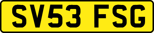 SV53FSG
