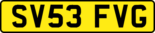 SV53FVG