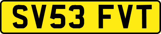 SV53FVT