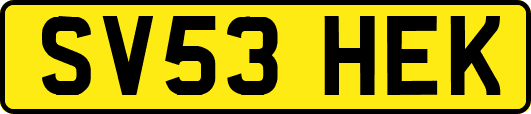 SV53HEK