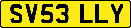 SV53LLY