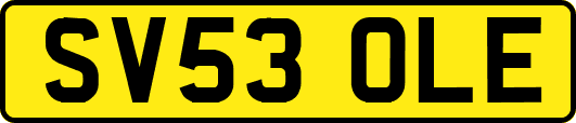 SV53OLE