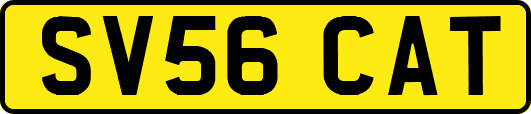 SV56CAT