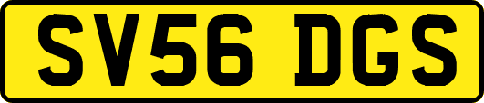 SV56DGS