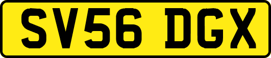 SV56DGX
