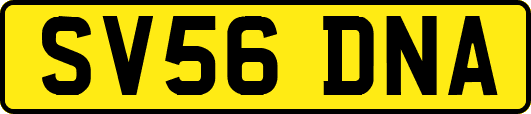 SV56DNA