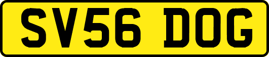 SV56DOG
