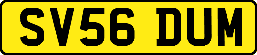 SV56DUM