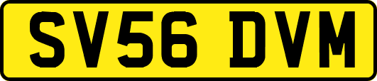 SV56DVM