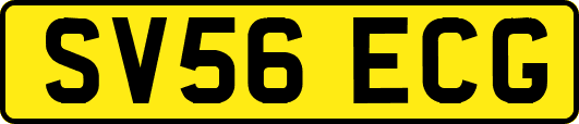SV56ECG
