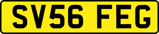 SV56FEG