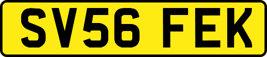 SV56FEK