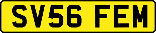 SV56FEM