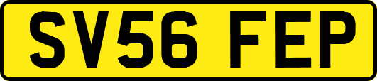 SV56FEP