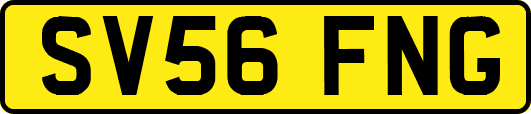 SV56FNG