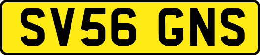 SV56GNS