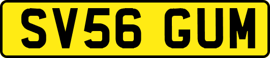 SV56GUM