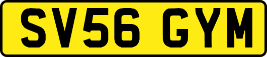 SV56GYM