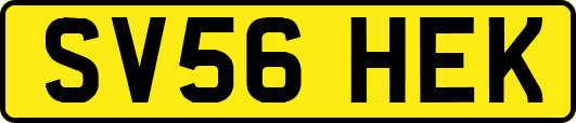 SV56HEK