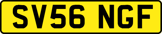 SV56NGF