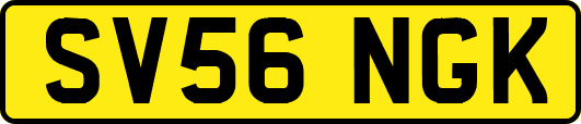 SV56NGK