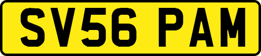 SV56PAM