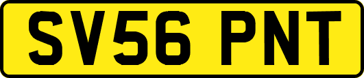 SV56PNT