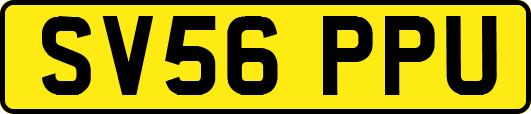 SV56PPU