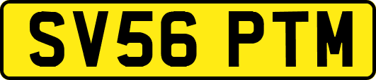 SV56PTM