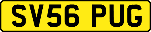 SV56PUG