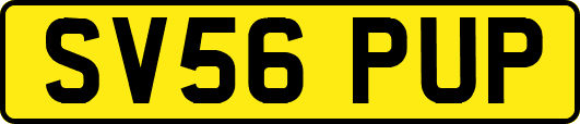 SV56PUP
