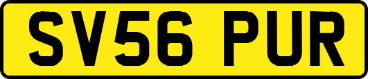 SV56PUR