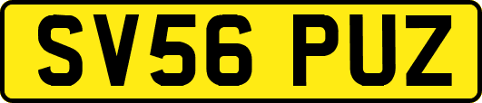 SV56PUZ