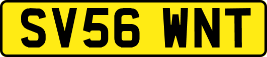 SV56WNT