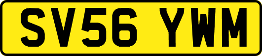 SV56YWM
