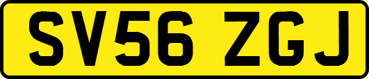 SV56ZGJ