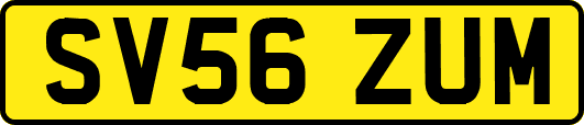 SV56ZUM