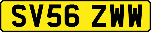 SV56ZWW