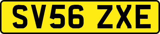SV56ZXE