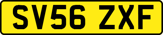 SV56ZXF