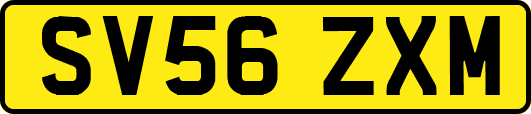 SV56ZXM