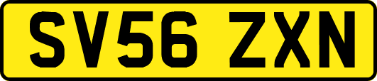 SV56ZXN