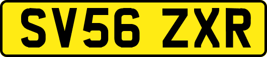 SV56ZXR