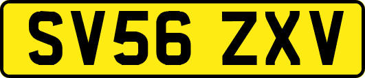 SV56ZXV