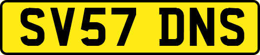 SV57DNS