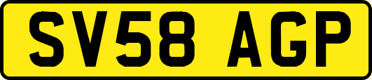 SV58AGP