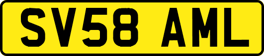 SV58AML