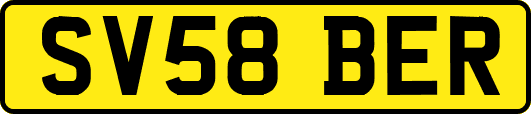 SV58BER