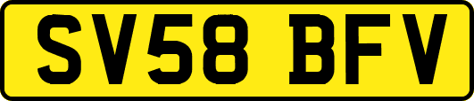 SV58BFV