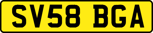 SV58BGA